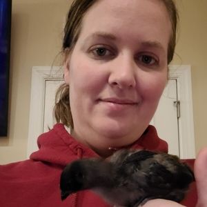 Meet your Posher, Kerry